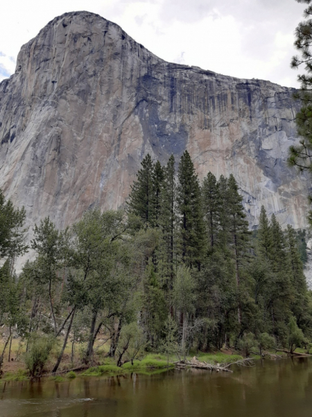 Безэтажная Америка 2019 или Маменькин сынок на Диком Западе (WA-MT-WY-ID-UT-AZ-NV-CA-OR-WA) - Закончен!