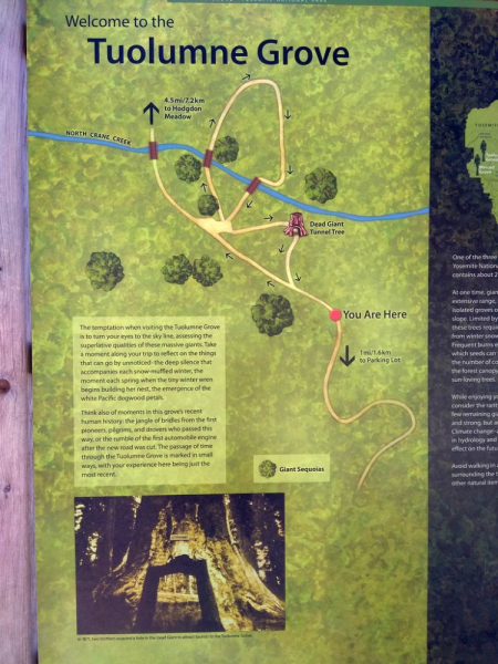 Безэтажная Америка 2019 или Маменькин сынок на Диком Западе (WA-MT-WY-ID-UT-AZ-NV-CA-OR-WA) - Закончен!