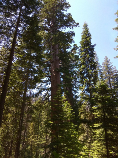 us16