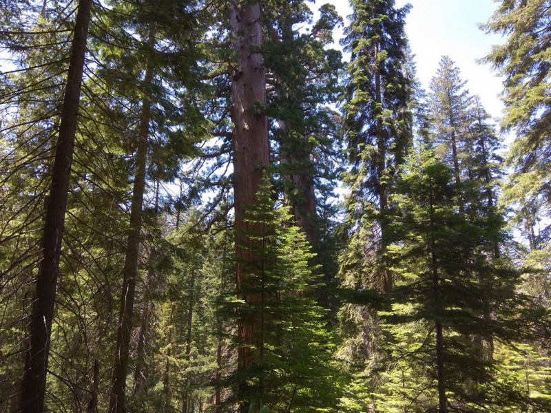 us16