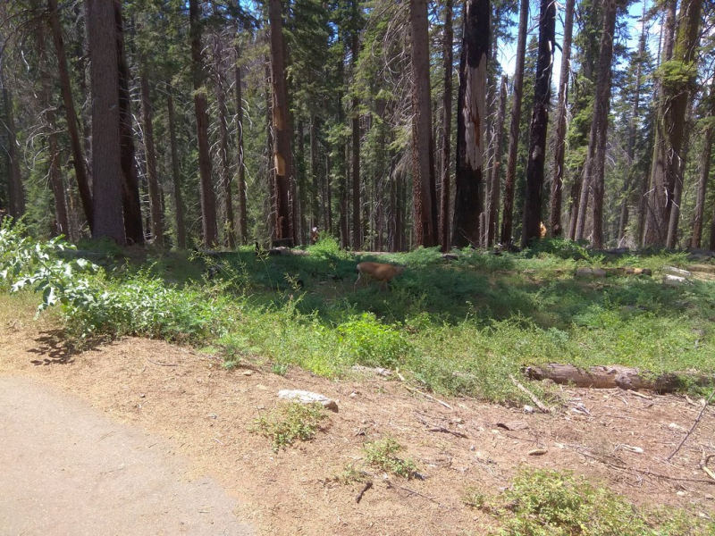 us16