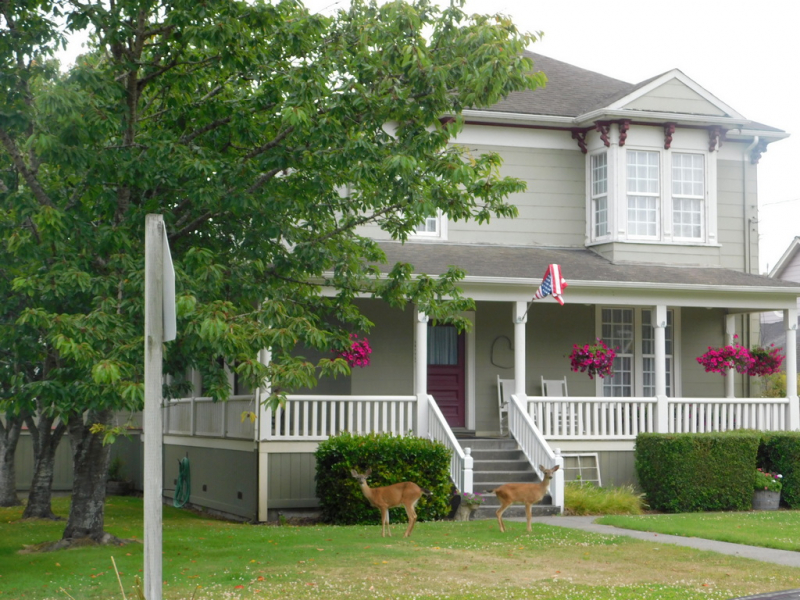 Безэтажная Америка 2019 или Маменькин сынок на Диком Западе (WA-MT-WY-ID-UT-AZ-NV-CA-OR-WA) - Закончен!