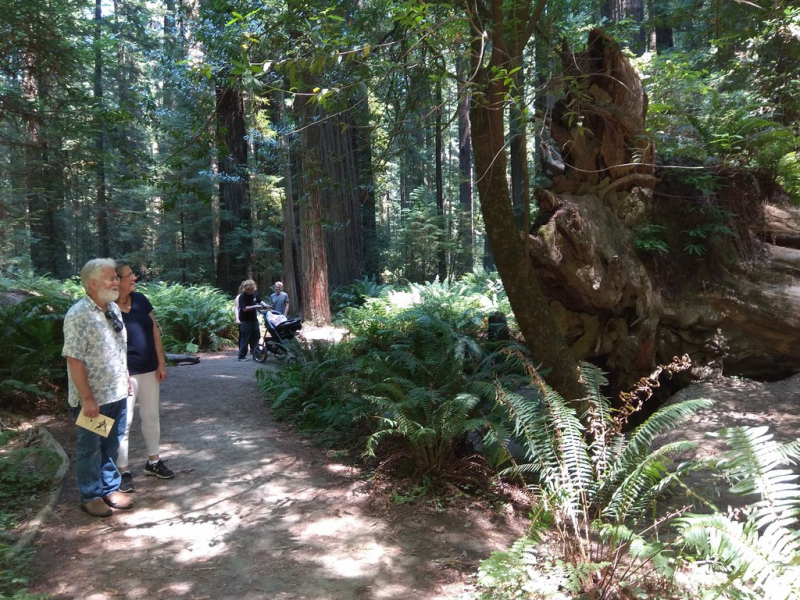 Безэтажная Америка 2019 или Маменькин сынок на Диком Западе (WA-MT-WY-ID-UT-AZ-NV-CA-OR-WA) - Закончен!