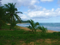 DSCF6440_новый размер.JPG