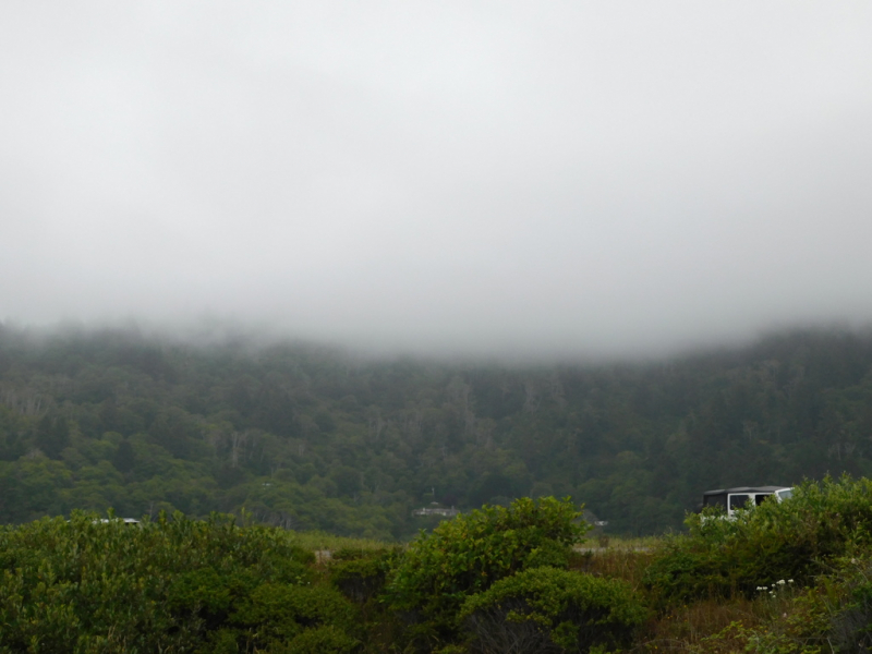 Безэтажная Америка 2019 или Маменькин сынок на Диком Западе (WA-MT-WY-ID-UT-AZ-NV-CA-OR-WA) - Закончен!