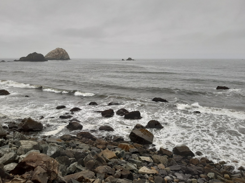 Безэтажная Америка 2019 или Маменькин сынок на Диком Западе (WA-MT-WY-ID-UT-AZ-NV-CA-OR-WA) - Закончен!