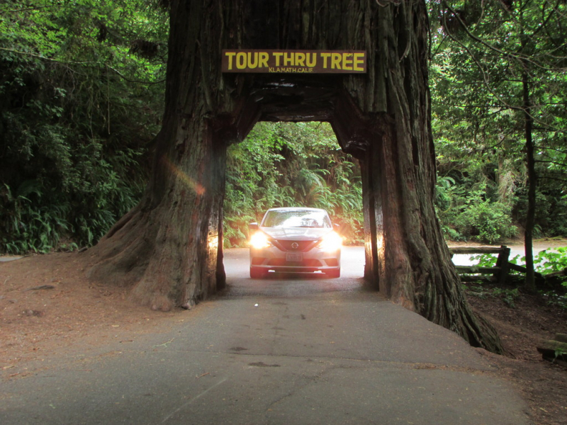 Безэтажная Америка 2019 или Маменькин сынок на Диком Западе (WA-MT-WY-ID-UT-AZ-NV-CA-OR-WA) - Закончен!