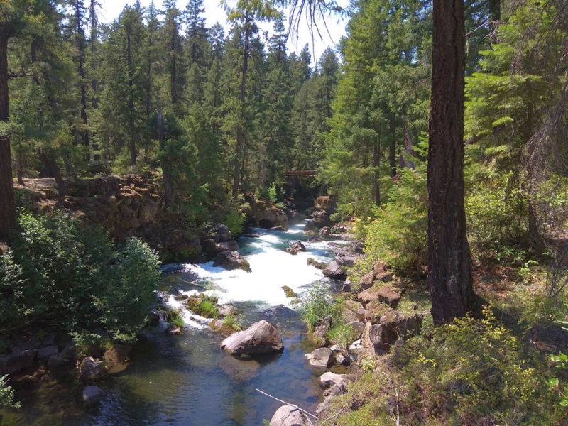 Безэтажная Америка 2019 или Маменькин сынок на Диком Западе (WA-MT-WY-ID-UT-AZ-NV-CA-OR-WA) - Закончен!