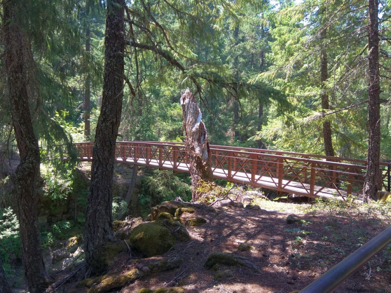 Безэтажная Америка 2019 или Маменькин сынок на Диком Западе (WA-MT-WY-ID-UT-AZ-NV-CA-OR-WA) - Закончен!