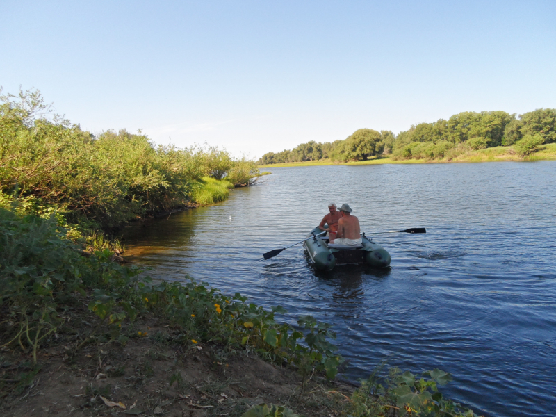 Чайники на Ахтубе