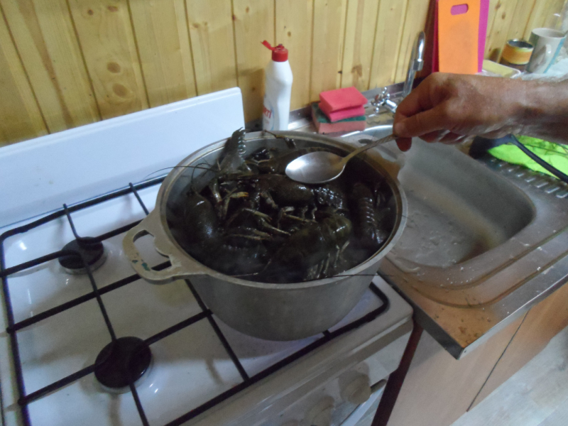 Чайники на Ахтубе