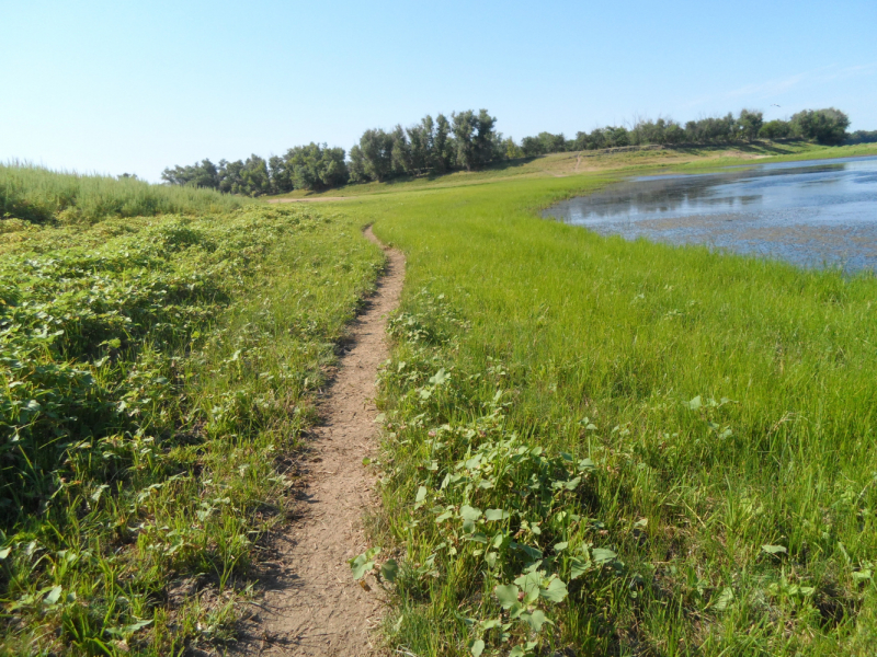Чайники на Ахтубе