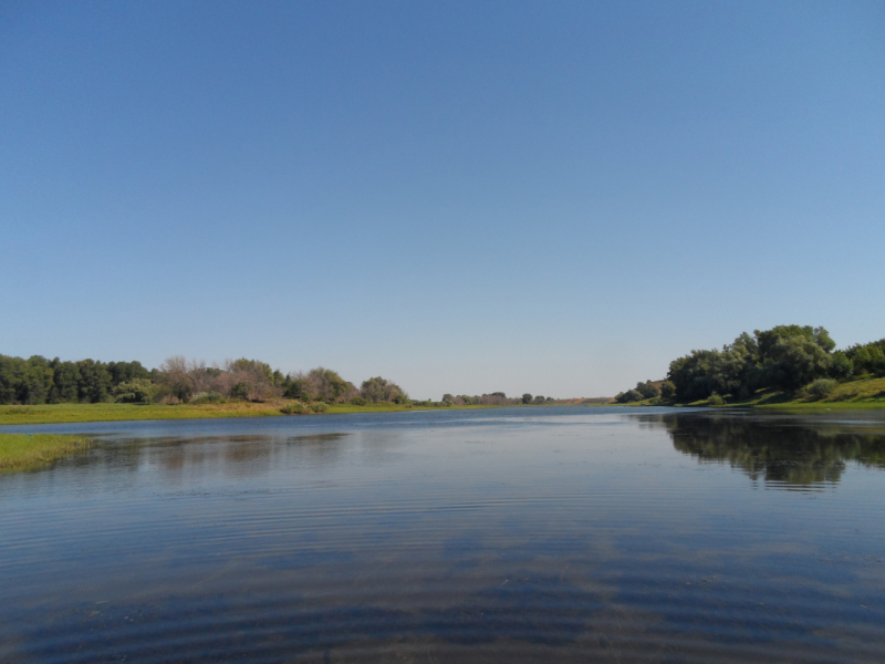 Чайники на Ахтубе