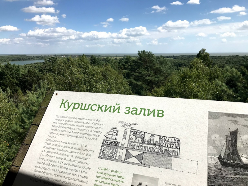 Светлогорск-Калининград-Куршская коса-Балтийск на общественном транспорте (июль 2021)