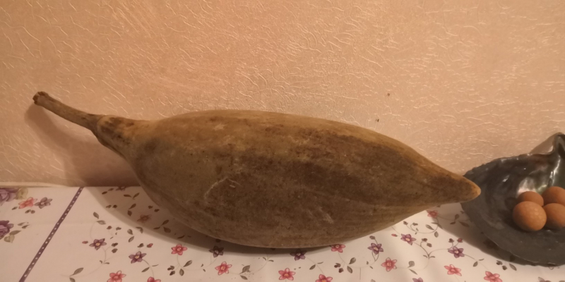 Баобаб на Ла-диг