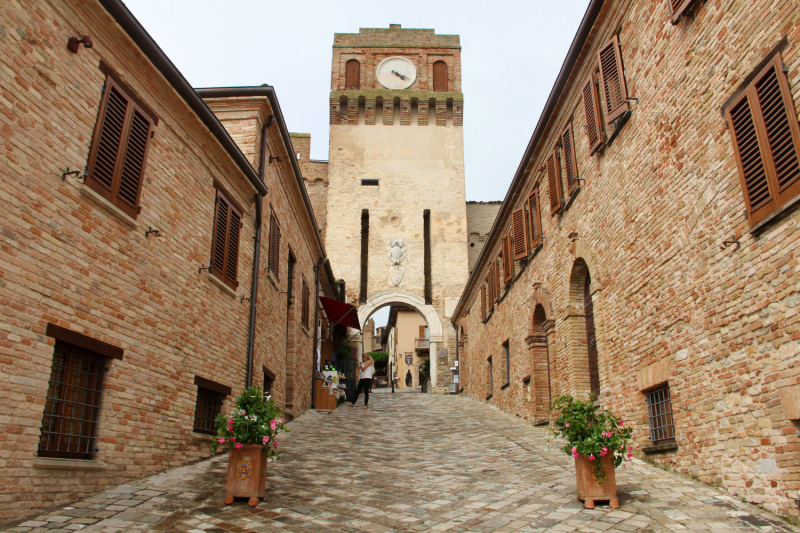 Путешествия дилетантов. Внезапная Италия.