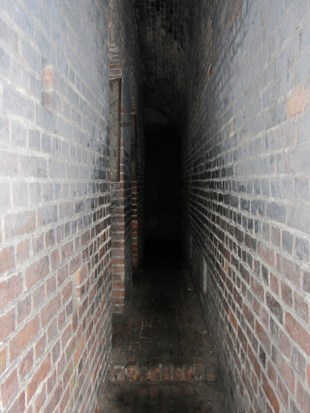 Калининград - в поисках Кёнигсберга. Куршская коса - куда ведут дорожки?