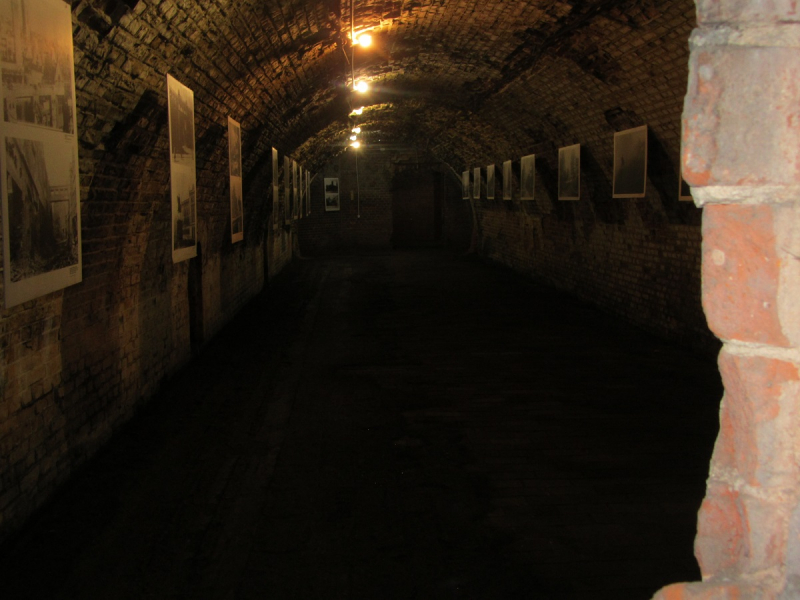 Калининград - в поисках Кёнигсберга. Куршская коса - куда ведут дорожки?