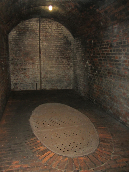 Калининград - в поисках Кёнигсберга. Куршская коса - куда ведут дорожки?