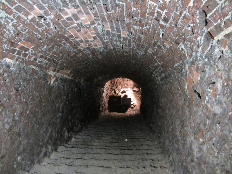 Калининград - в поисках Кёнигсберга. Куршская коса - куда ведут дорожки?