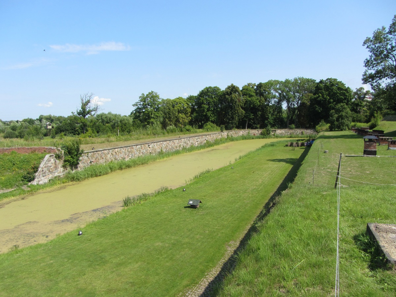 Калининград - в поисках Кёнигсберга. Куршская коса - куда ведут дорожки?