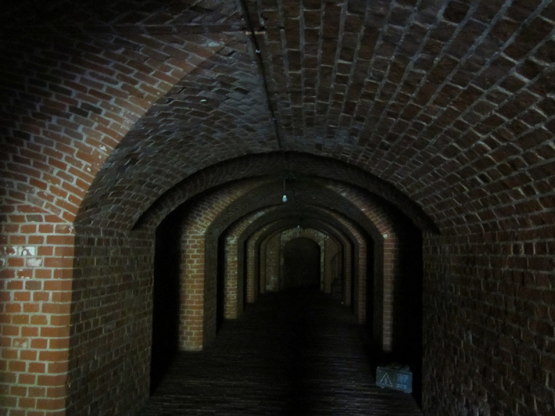 Калининград - в поисках Кёнигсберга. Куршская коса - куда ведут дорожки?