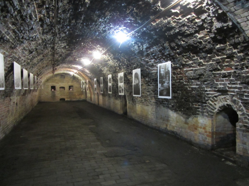 Калининград - в поисках Кёнигсберга. Куршская коса - куда ведут дорожки?