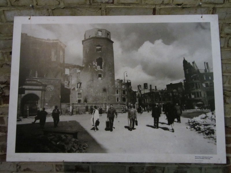 Калининград - в поисках Кёнигсберга. Куршская коса - куда ведут дорожки?