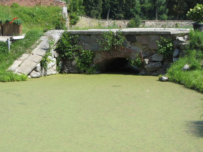 Калининград - в поисках Кёнигсберга. Куршская коса - куда ведут дорожки?