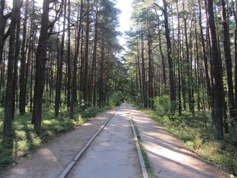 Калининград - в поисках Кёнигсберга. Куршская коса - куда ведут дорожки?