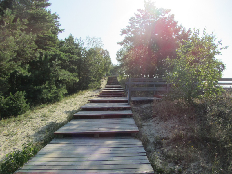 Калининград - в поисках Кёнигсберга. Куршская коса - куда ведут дорожки?