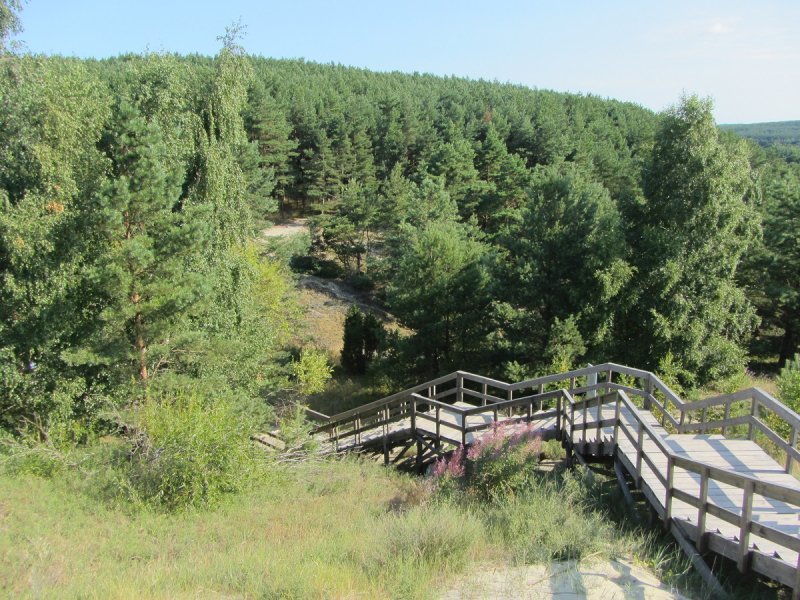 Калининград - в поисках Кёнигсберга. Куршская коса - куда ведут дорожки?