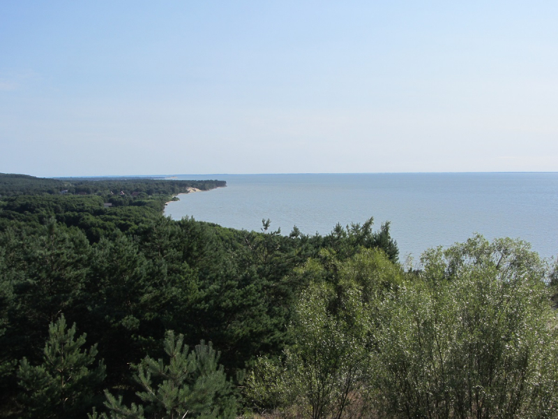 Калининград - в поисках Кёнигсберга. Куршская коса - куда ведут дорожки?