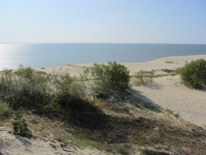 Калининград - в поисках Кёнигсберга. Куршская коса - куда ведут дорожки?