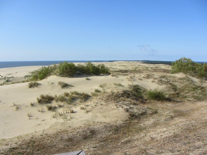 Калининград - в поисках Кёнигсберга. Куршская коса - куда ведут дорожки?