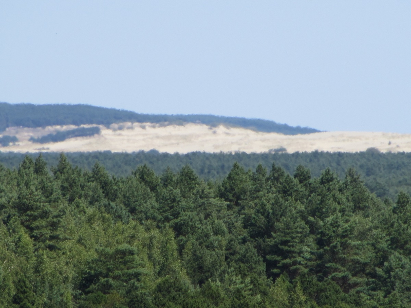 Калининград - в поисках Кёнигсберга. Куршская коса - куда ведут дорожки?