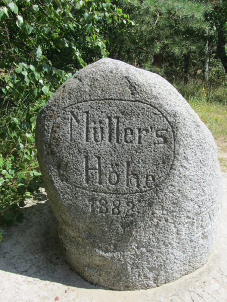 Калининград - в поисках Кёнигсберга. Куршская коса - куда ведут дорожки?