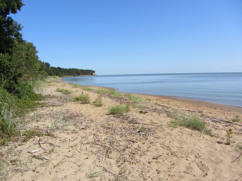 Калининград - в поисках Кёнигсберга. Куршская коса - куда ведут дорожки?