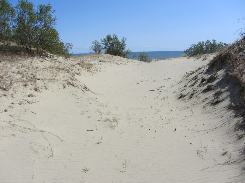 Калининград - в поисках Кёнигсберга. Куршская коса - куда ведут дорожки?