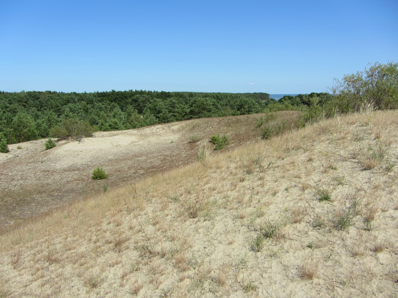 Калининград - в поисках Кёнигсберга. Куршская коса - куда ведут дорожки?