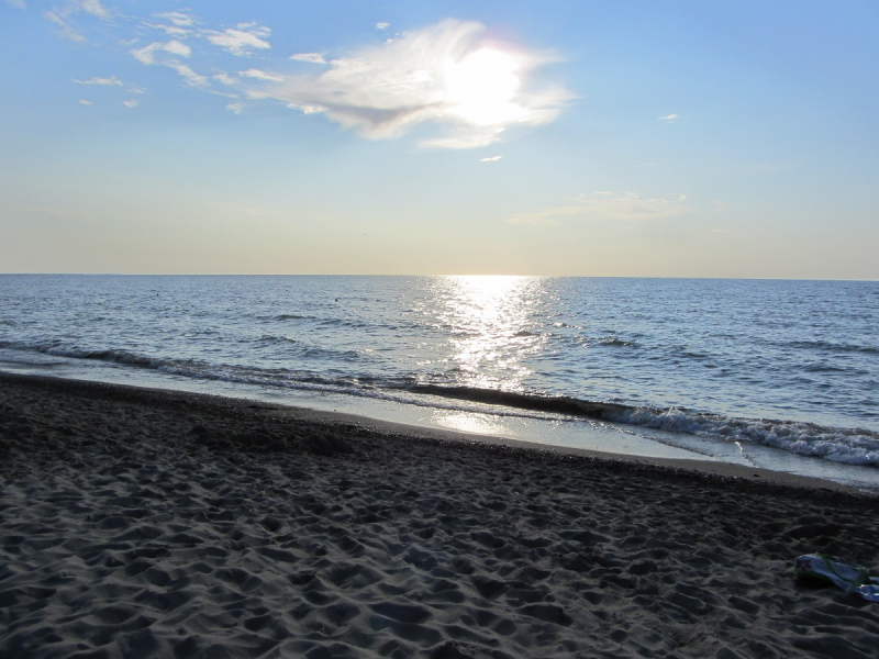 Калининград - в поисках Кёнигсберга. Куршская коса - куда ведут дорожки?