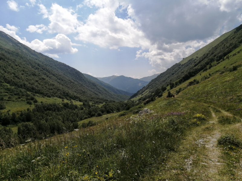 Трекинг по Сванетии (Местия - Ушгули) и ещё немного Грузии в июле 2021.