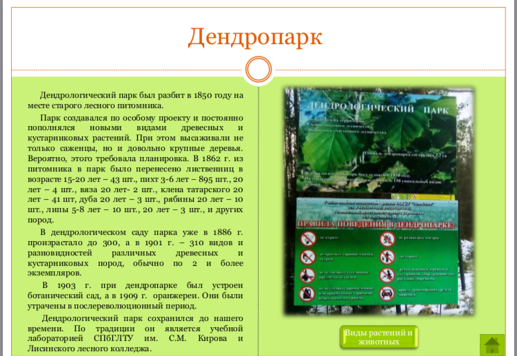 «Как я провёл этим летом» ©️ или неспешные прогулки по окрестностям Петербурга в ковидную годину