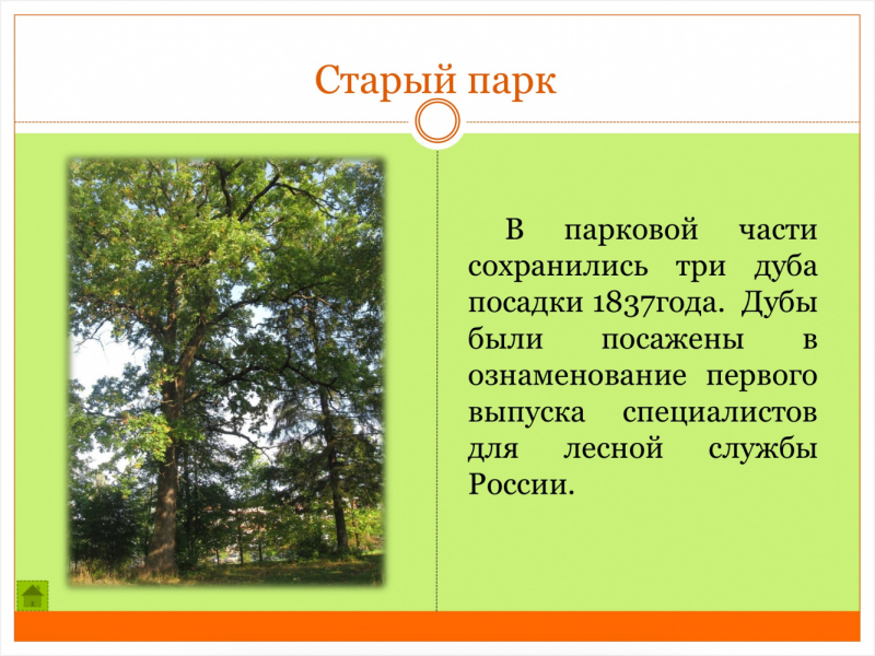 «Как я провёл этим летом» ©️ или неспешные прогулки по окрестностям Петербурга в ковидную годину