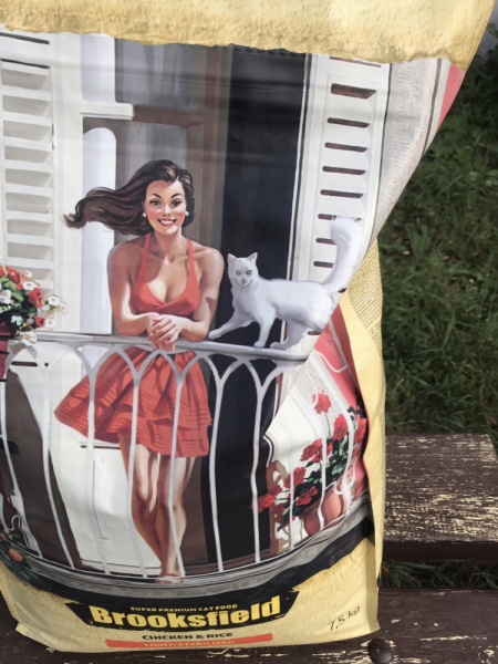 Кошки в нашей жизни. Кошки и все, что с ними связано.