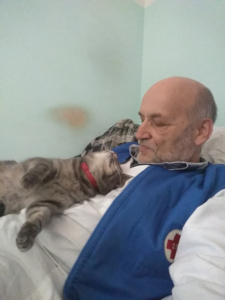 Кошки в нашей жизни. Кошки и все, что с ними связано.