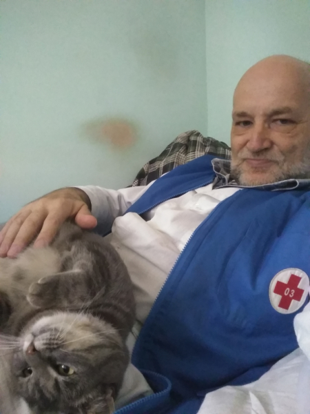 Кошки в нашей жизни. Кошки и все, что с ними связано.