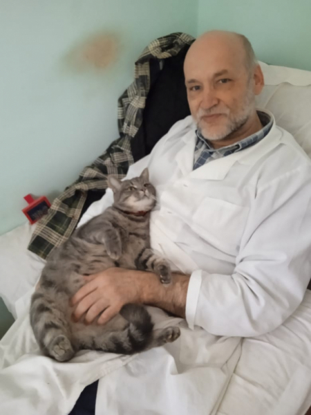 Кошки в нашей жизни. Кошки и все, что с ними связано.