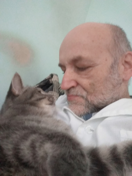 Кошки в нашей жизни. Кошки и все, что с ними связано.