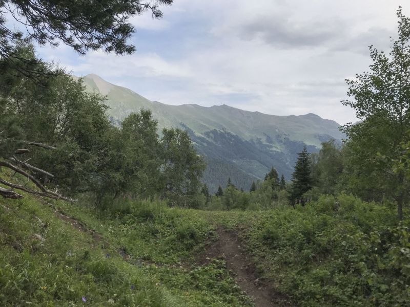 А вдоль дороги белые стоят...И тишина.(трекинг в Архызе)